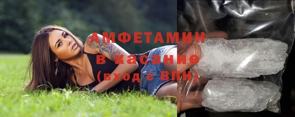 шишки Абинск