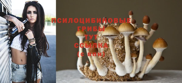 герыч Алексин
