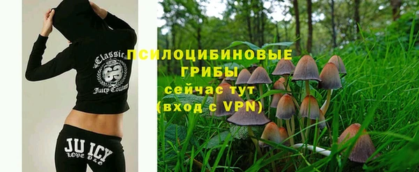 ПСИЛОЦИБИНОВЫЕ ГРИБЫ Абдулино
