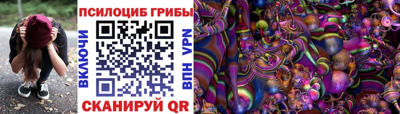 сколько стоит  Александров  Псилоцибиновые грибы прущие грибы 
