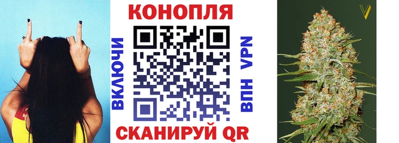 Бошки Шишки марихуана  Александров 